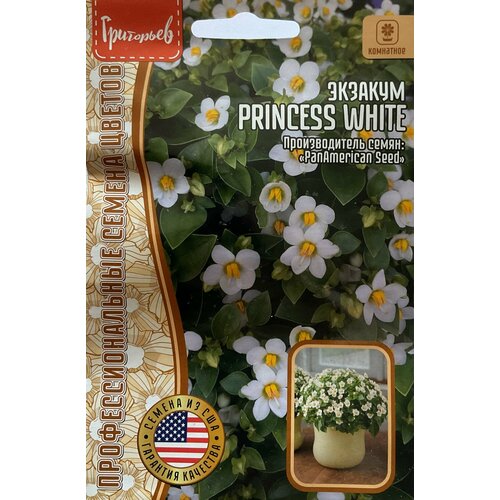 ���� ������ �������� (���������� ������) 