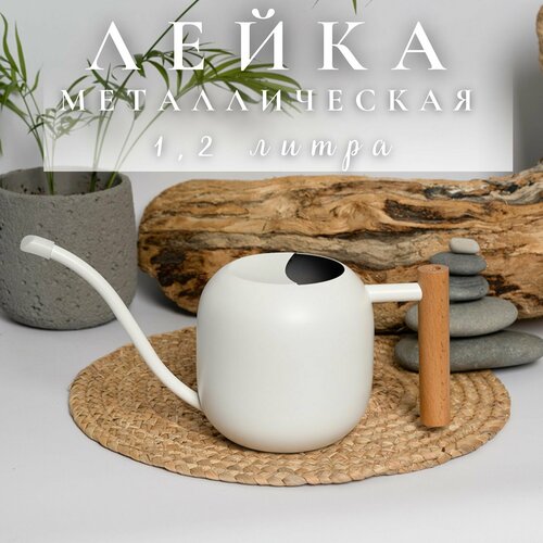 ���� ����� ��� ������ ������������� 1,2 �����, ������ �� 2350 ���