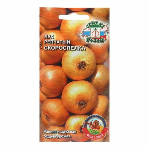 ���� ������ ��� �������� 