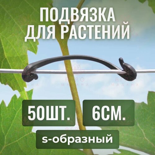 ���� ������ ��� �������� ��������, s-��������, 6��, 50��, ������ �� 369 ���