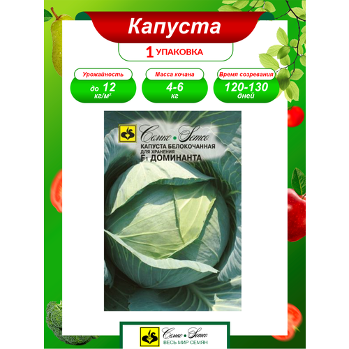 ���� ������ ������� ������������ ��������� ������������ 0,2 ��., ������ �� 82 ���