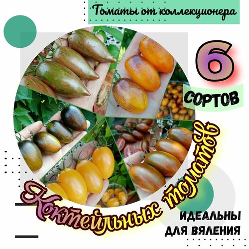 ���� ����� �����, 6 ������ ����������� �������, ������� ��������, ������ �� 475 ���