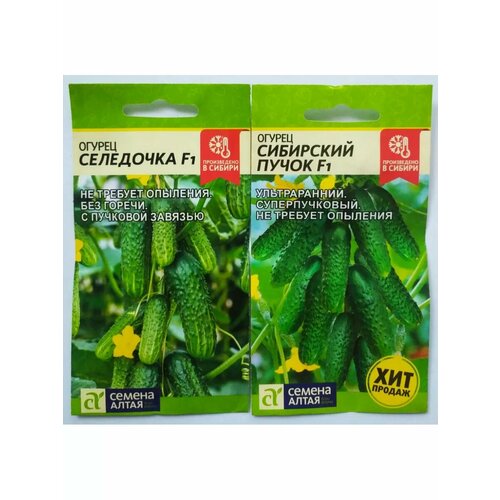 ���� ������ ��������� � ��������� �����, ������ �� 301 ���