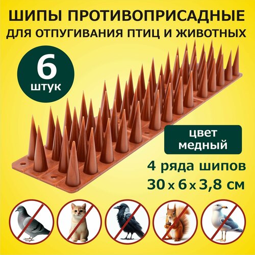          3006038   6 , ,  ,   1700 