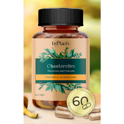 ���� ���������������� �������� - ������� ������� � �������� 60 ��., ������ �� 790 ���