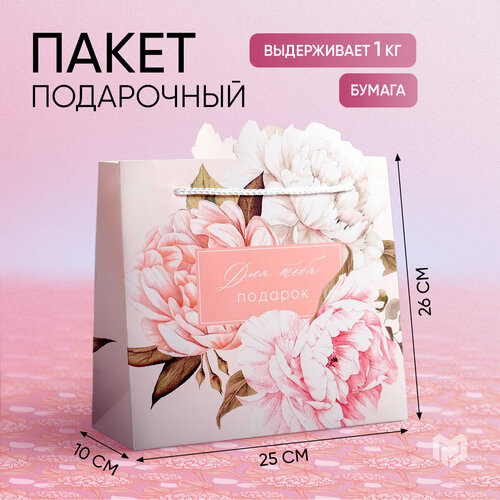 ���� ����� ���������� ���� ���� �������, 25 ? 26 ? 10 ��, ������ �� 263 ���