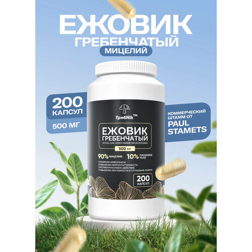 ���� ������(������) ����������� ������� ����Nik - 500 �� � 200 ������, ������ �� 1178 ���