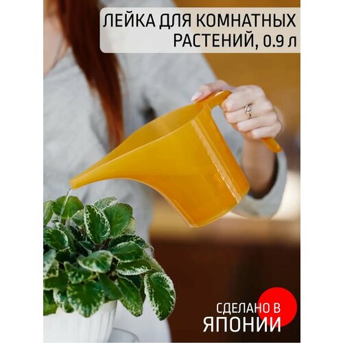 ���� ����� ��� ��������� �������� 900 ��, ������ �� 252 ���