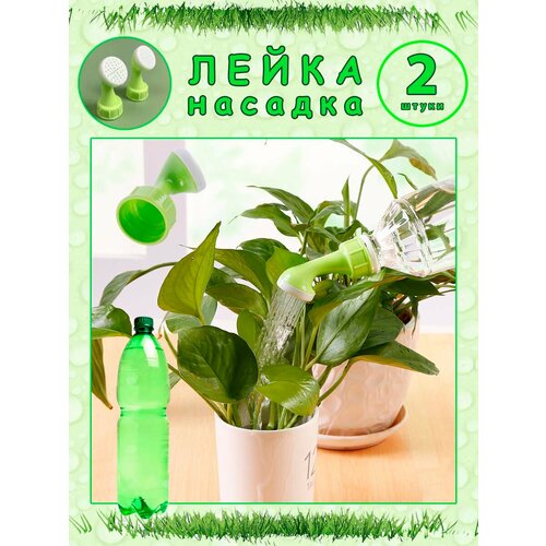  -       , 2 .,   299 