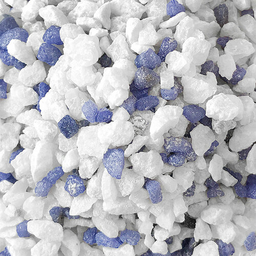 ���� ����������� ����� ��� ��������, ����������� � ��������, Zoo One, ��������� ��������, 