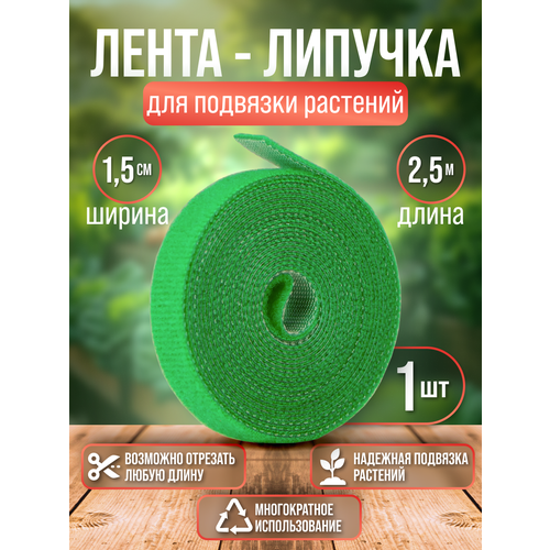  -     | 1  2,5  |   1,5 .,   270 