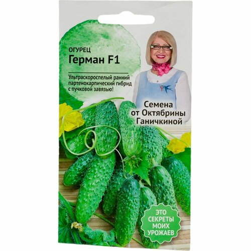 ���� ������ ������ F1 8 �� / ������ ������� ��� ������� / ������ ��� ������� ���� ���� / ������, ������ �� 343 ���