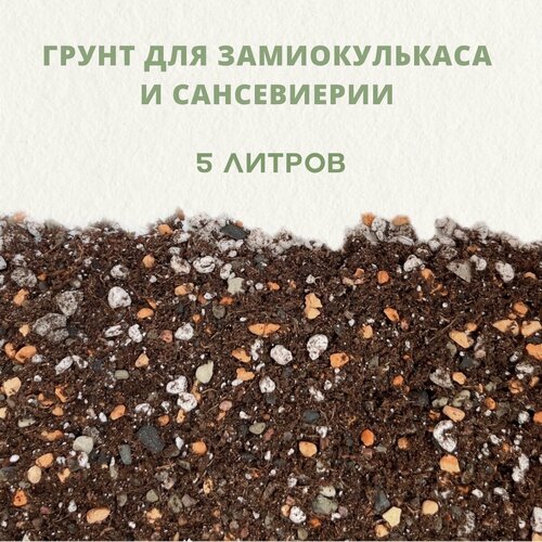 ���� ������� ����� ��� ������������� � �����������. ����� ��� ��������� ��������. 5 ������, ������ �� 1660 ���