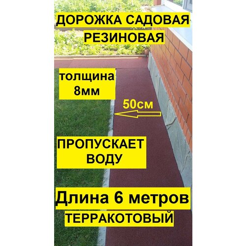 ���� ������� ������� ��� 