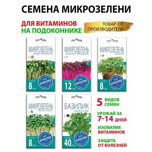 ���� ����� ����� ������ 5 ������, ������ �� 331 ���