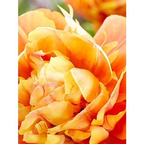 ���� �������� ������� �������� - 2 ��., ������ �� 326 ���