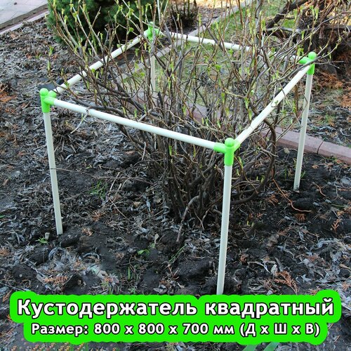 ���� �������������� 