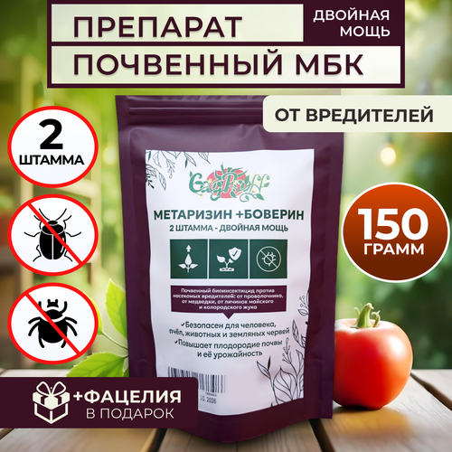 ���� ��������� ������� ����������� �� ���������� 150�, ������ �� 388 ���