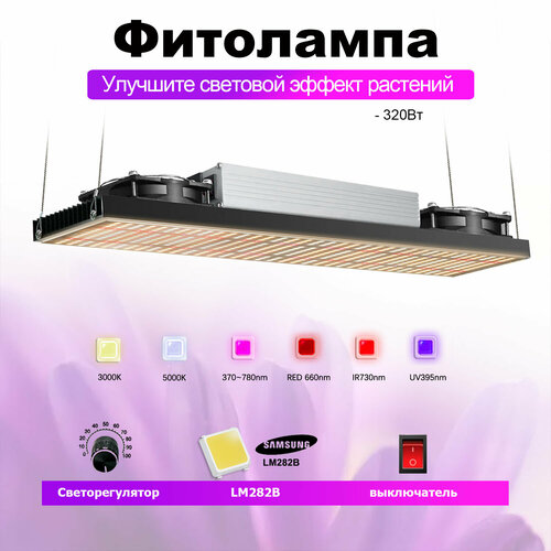  Quantum Board 320   LM281B+ /    /   ,   12099 