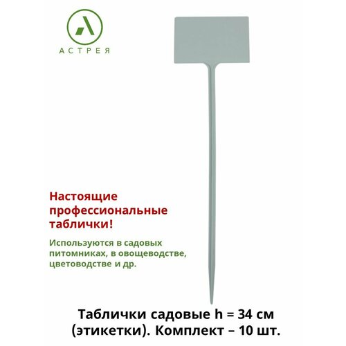 ���� ���������� �������� ��� ��������, 10 ���� � ���������, ���� �����, ������ �� 469 ���