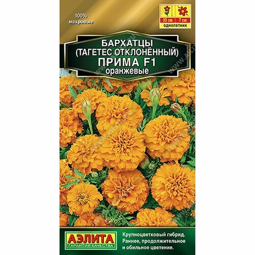 ���� ������ �������� ����� ��������� F1 ����������, (������) 10�� ������� �����, ������ �� 57 ���