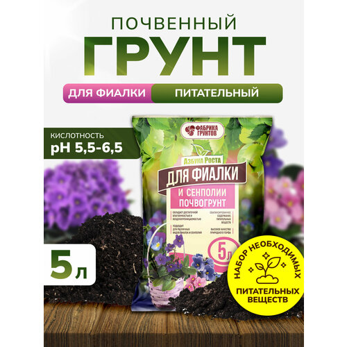 ���� ����� ��� ������ � ��������, ����� ��� ������ ��������� 5 �, ����������, InHome Green, ������ �� 621 ���