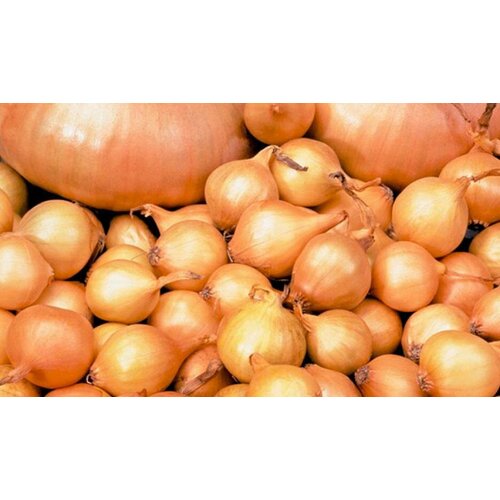 ���� ��� ����� �������� 800��, ������ �� 925 ���