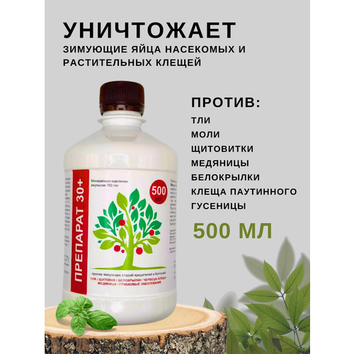 ���� �������� ������ �������� �������� 30 ����, ������ �� 379 ���