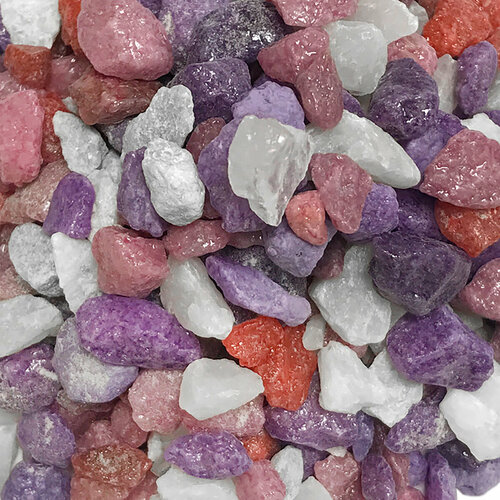 ���� ����������� ����� ��� ��������, ����������� � ��������, Zoo One, ��������� ��������, 