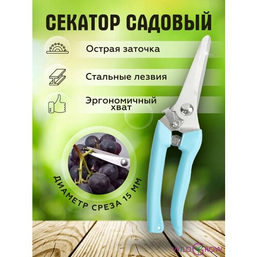 ���� W-GROW ������� ������� ��� ����, ������ � ��������� ��������, ������ �� 369 ���