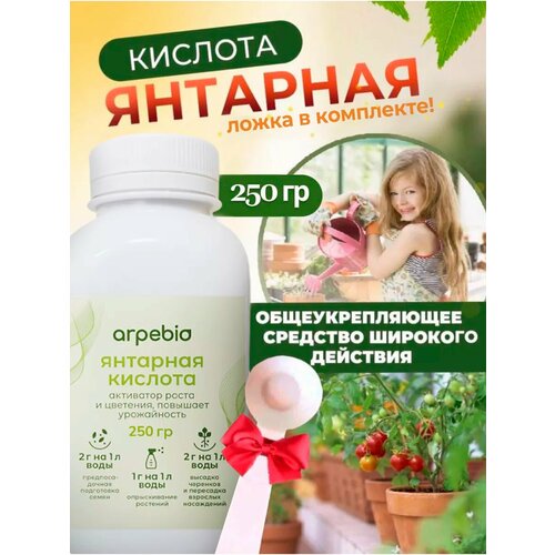 ���� �������� ������� ������������� ��������� ���������� ����� 250�� � ����� � �������, ������ �� 585 ���