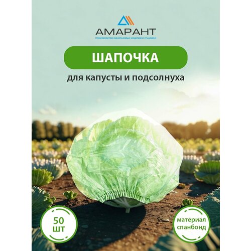 ���� ������� ������� ��� ������� � ����������, ������� 50 ��, ������ �� 290 ���