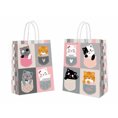 ���� ����� ���������� ND Play ����� � ��������� 335�406�155 ��, ������ �� 319 ���