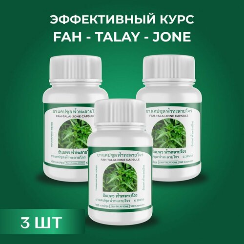 ���� �������� ��� ���������� Fah - talay - jone �� ����� ���� ������ �������� �����������, ������ �� 1510 ���