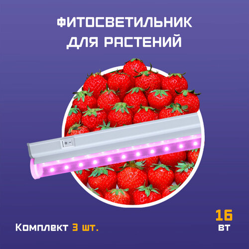 ���� ����� ��� ��������, �������������� ��� ������� ��������, ���������� ��� ��������� ������ LED 16 �� 900�� ����� 3 ��, ������ �� 2495 ���