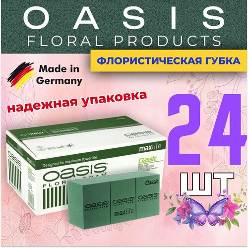 ���� �������������� �����, ��� ������, �������, ����� 24 ��, ������ �� 4800 ���