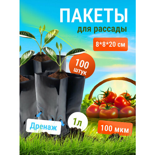 ���� ������ ��� ������� DeJuDo, 1�. 100��., ������ �� 495 ���