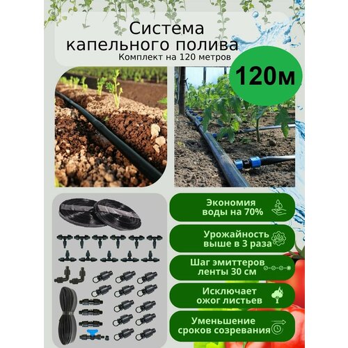 ���� ��������� ����� ��� ������� � ��������� ������ �� 120 ������, ��� 30 ��, ������ �� 2000 ���