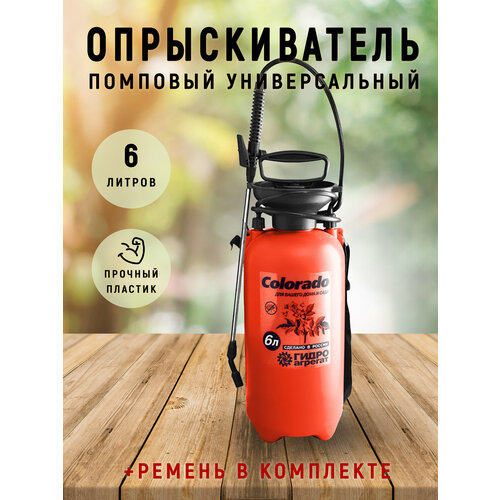 ���� ������������� ������� �������� 6 �, ������ �� 977 ���