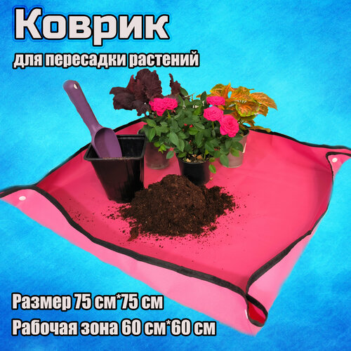 ���� ������ ������ ��� ������� - ������ 75�75, ������ �� 650 ���