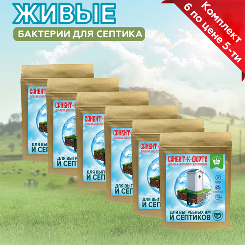 ���� �������� 