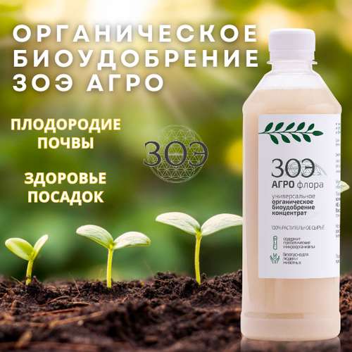 ���� ��� ��������� ��� (ZOE) ���� ����� ������, ������������� ������������ � ������ ����������. ��� ������ � ���������������, ����� ���������� 0.5�, ������ �� 990 ���