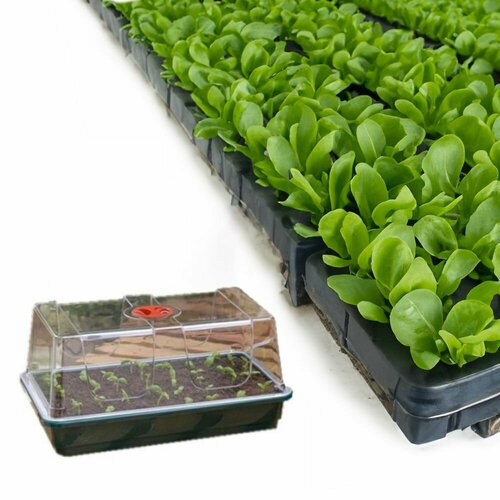 ���� �������� Garland MINI GROW BOX (SEMI-RIGID MEDIUM - G134), ������ �� 1077 ���