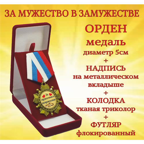 ���� ����� ������ 