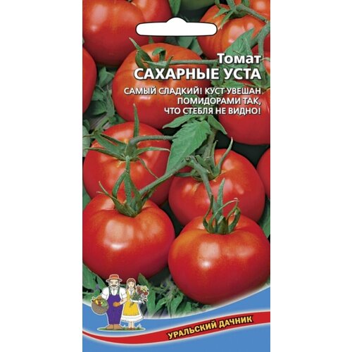 ���� ������ ����� �������� ���� 0,1� ����� ������ (��������� ������), ������ �� 38 ���