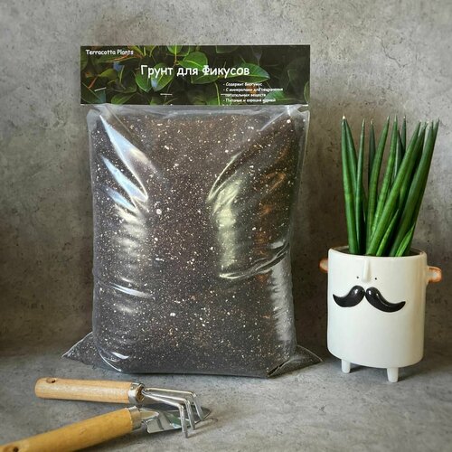 ���� ������� ����� ��� ������� � �������� �������� Terracotta Plants, 8 ������, ������ �� 639 ���