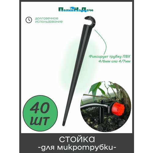 ���� ������ ��� ������ ��� 4/6�� � 4/7�� (1/4 �����), ������ 11 �� (40��), ������ �� 385 ���