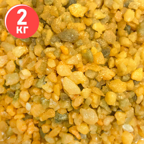 ���� ����������� ����� ��� ��������, ����������� � ��������, Zoo One, ��������� ��������, 