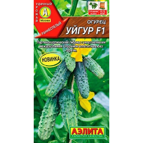 ���� ������ ������ ����� F1 10�� ������������������ ������ (������), ������ �� 213 ���