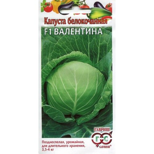 ���� ������ ������� ������������ ��������� F1 10�� ������� (������), ������ �� 42 ���